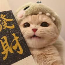 Ảnh đại diện của Minh Tâm